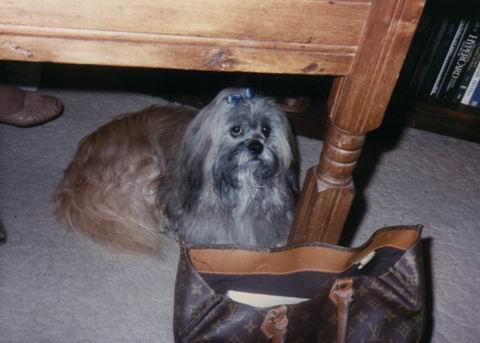Razz in Columbus, Georgia