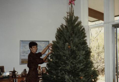 Christmas In Pheonix in Phoenix, Arizona