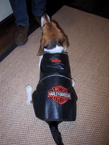 Baileys with Motorcycle Jacket in Columbus, Georgia