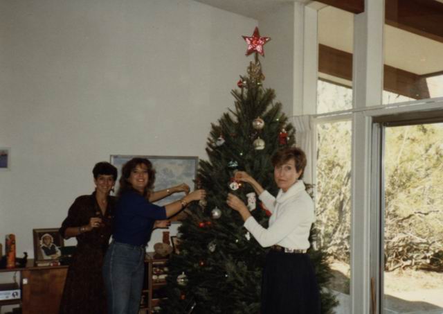 Decorating the Tree in Phoenix, Arizona