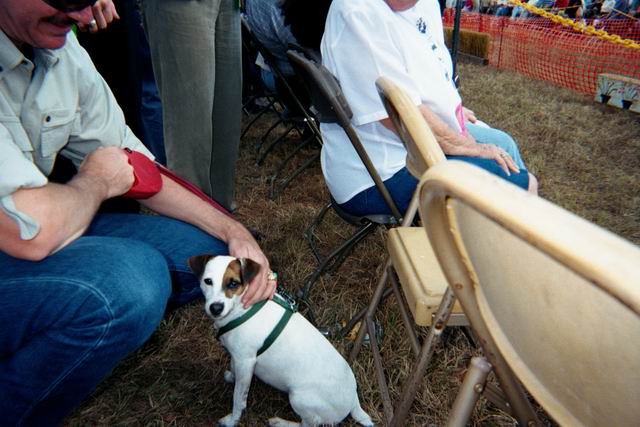 Sweetpea at the Steeplechase in Pine Mountian, Georgia