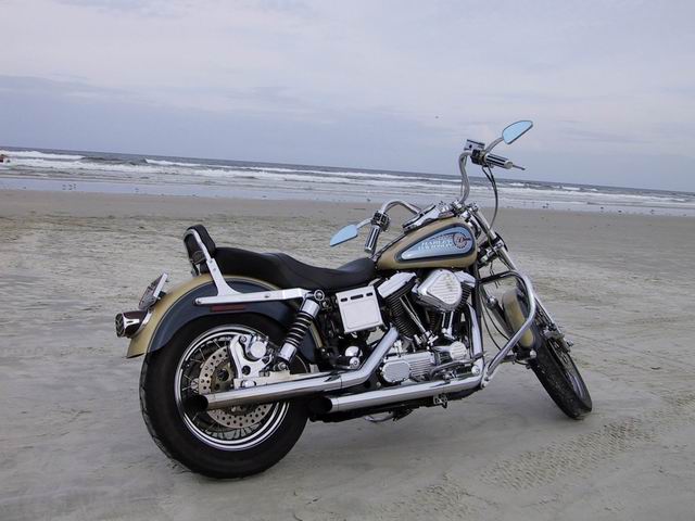 Dyna on the Beach in Dytona, Florida