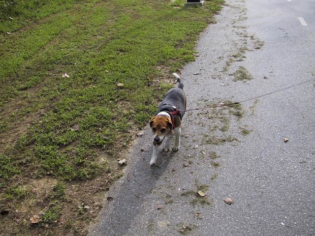 Baileys Moving Out in Columbus, Georgia