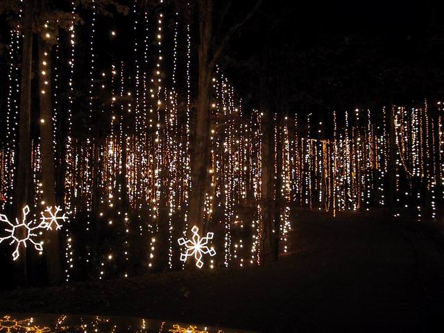 Fantasy In Lights in Callaway Gardens, Georgia