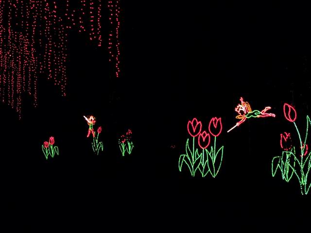 Fantasy In Lights in Callaway Gardens, Georgia
