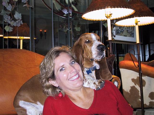 Basset in Charge in Phoenix, Arizona