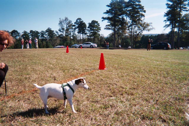 Convincing Sweetpea to Race in Callaway Gardens, Georgia
