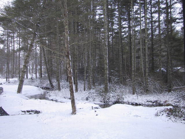 Backyard in Highlands in Highlands, North Carolina