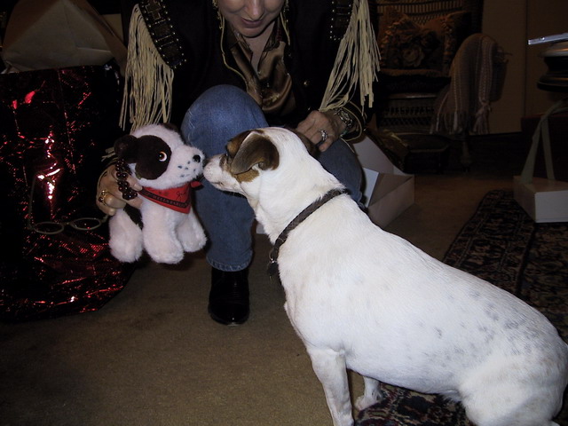 Sweetpea and Jack in Hawkinsville, Georgia