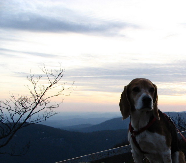 Baileys on Top of the World in Highlands, North Carolina