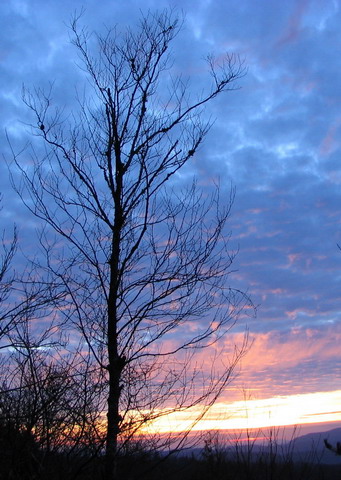 New Year Tree in Highlands, North Carolina