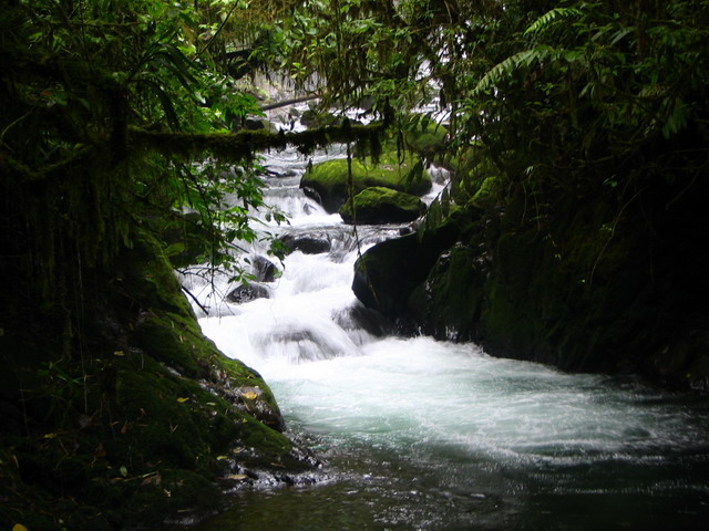 Stream in Costa Rica in Las Paz, Costa Rica