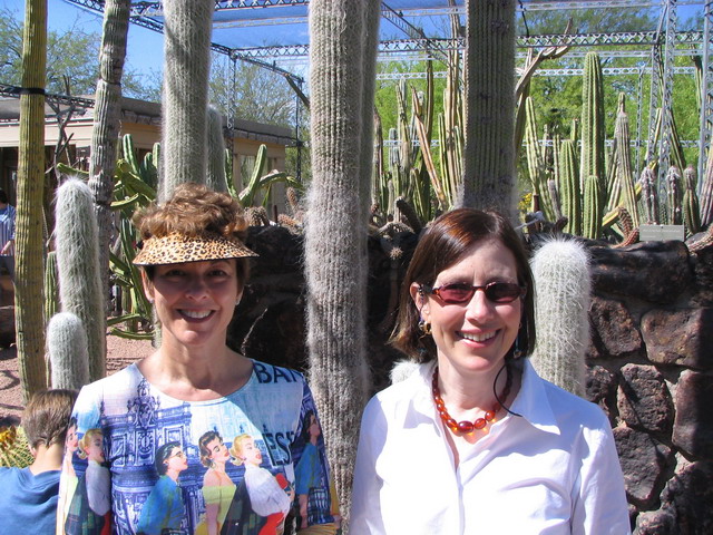 In the Sun in Phoenix, Arizona