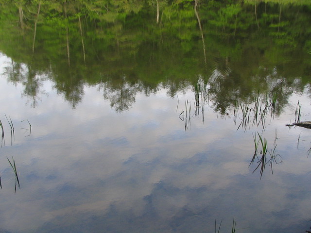 Lake Forest in Highlands, North Carolina