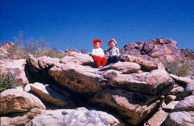 Little Cow Polks in Phoenix, Arizona