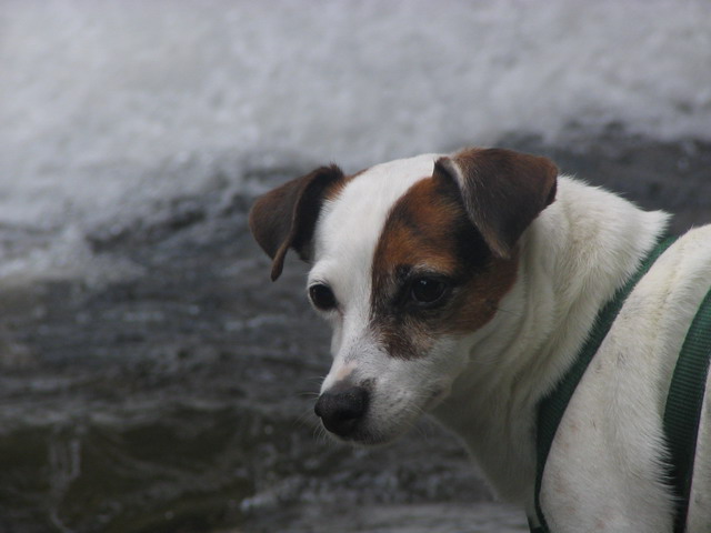 On the River in Highlands, North Carolina