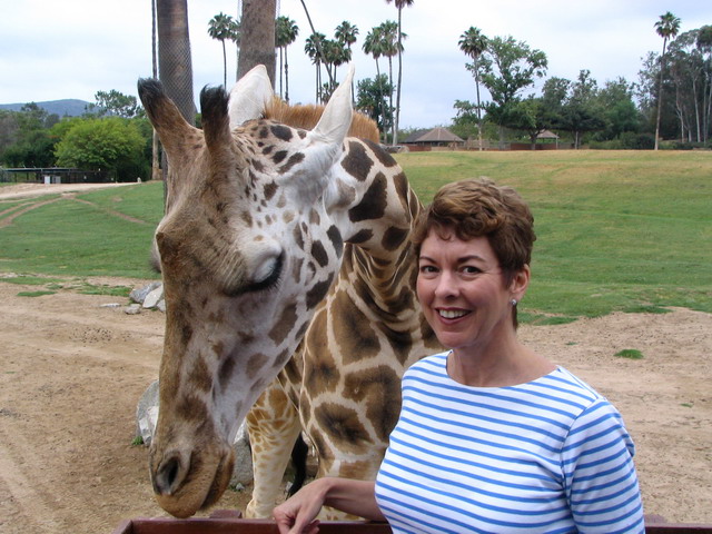 VA Feeding Giraffe in San Diego, California