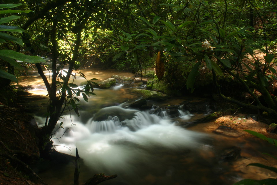 Stream in South Carolina in Highlands, North Carolina
