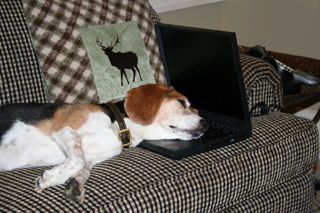 PC Pillow in Highlands, North Carolina