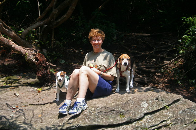 In the Woods in Highlands, North Carolina