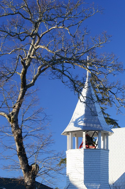 Church and Tree in Highlands, North Carolina