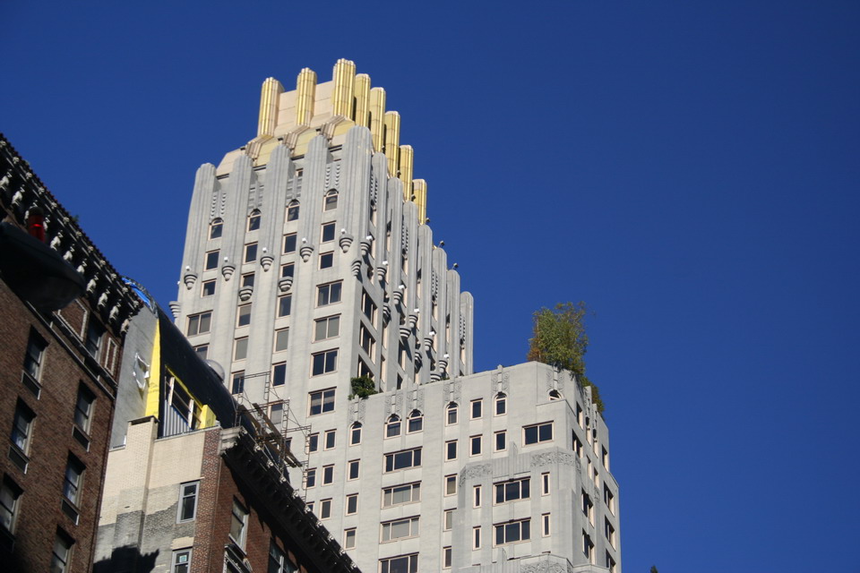 Tree in the Sky in New York, New York