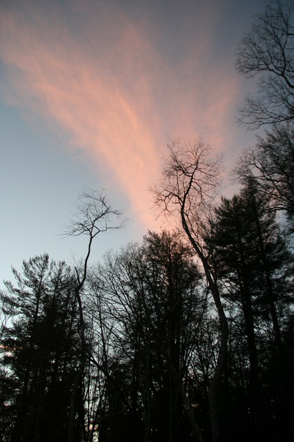 Sunset in Forest in Highlands, North Carolina