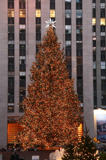 Christmas Tree at Rockefeller Center in New York, New York