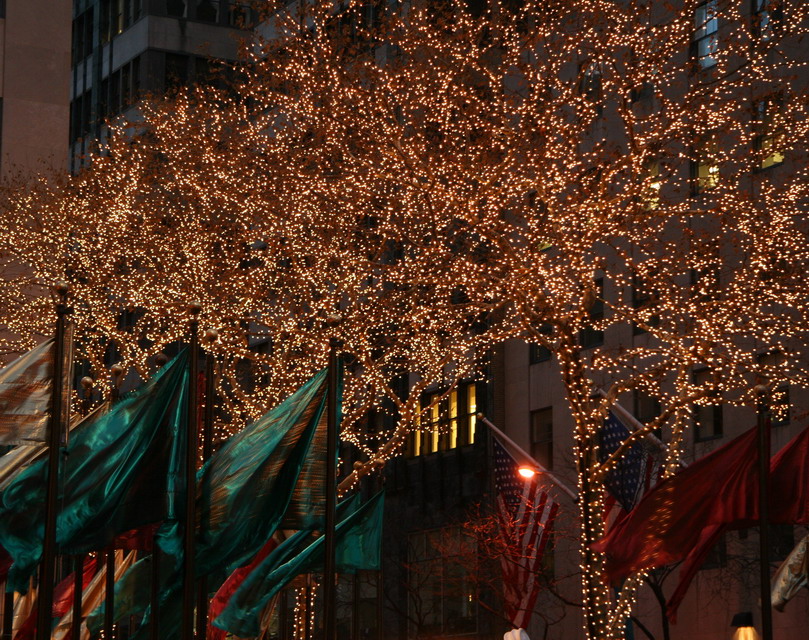 New York Lights in New York, New York