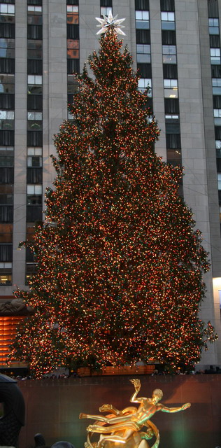 Rockefeller Center Tree and Fountian in New York, New York