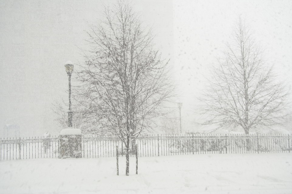 New York Blizzard in New York, New York