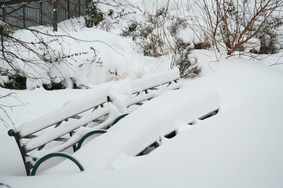 Snowed In Bench in New York, New York