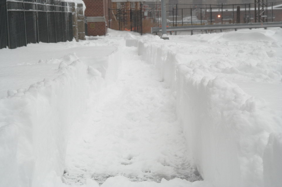 Deep Snow in New York, New York