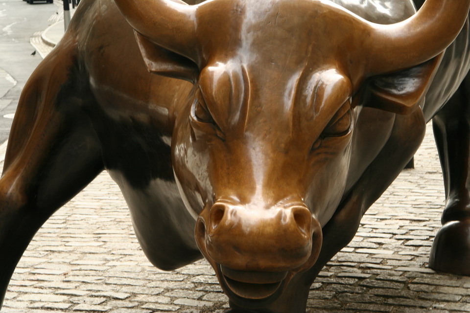 Wall Street Bull in New York, New York