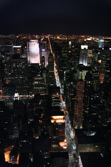 Fifth Avenue in New York, New York