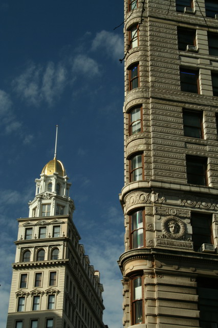 Flatiron and Neighbor in New York, New York