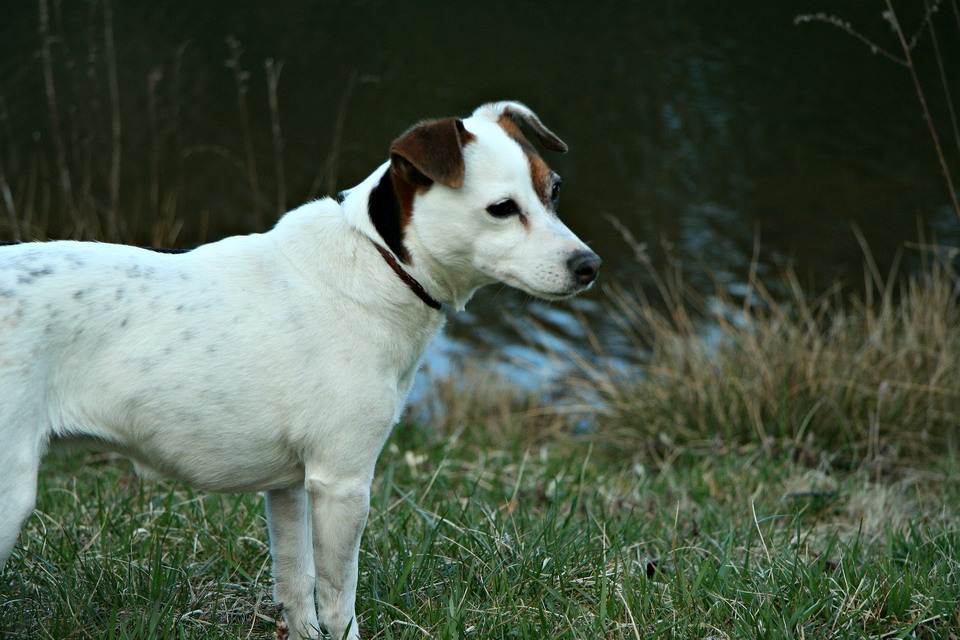 On the Hunt in Highlands, North Carolina