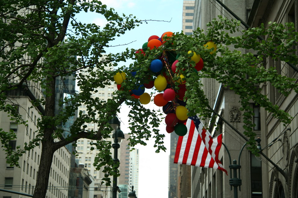 5th Avenue in New York, New York
