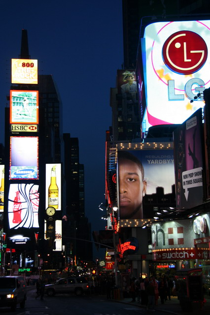 Times Square in New York, New York