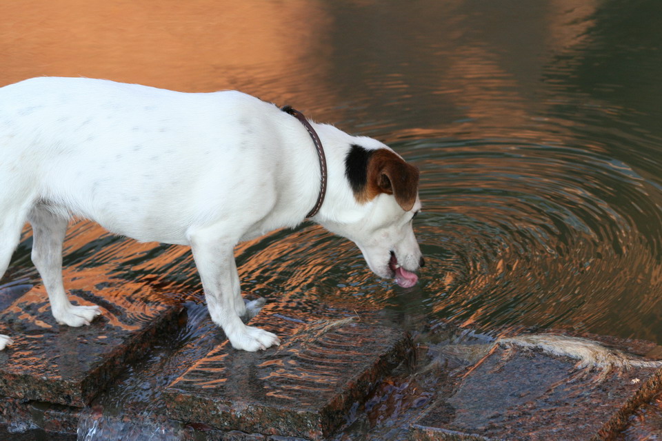 Taking a Drink in Columbus, Georgia