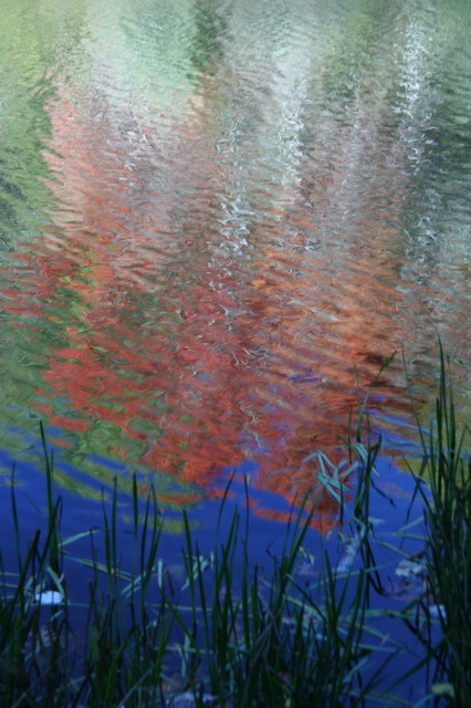 Autumn Reflection in Highlands, North Carolina