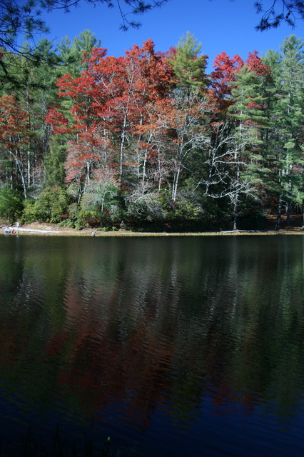 Last Weekend for Leafs in Highlands, North Carolina