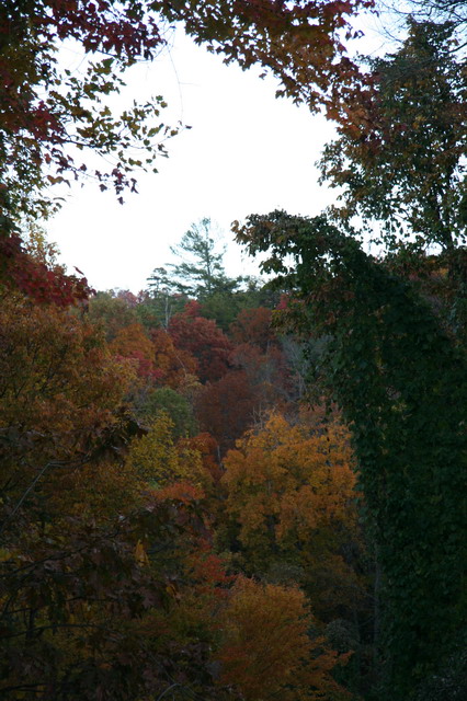 Autumn Color in Highlands, North Carolina