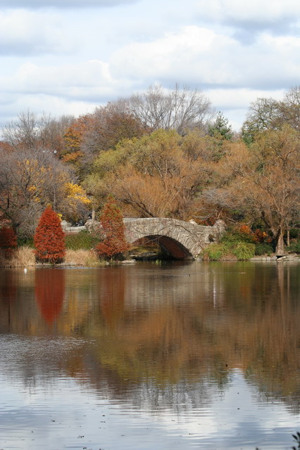 Bridge Over Pond in New York, New York