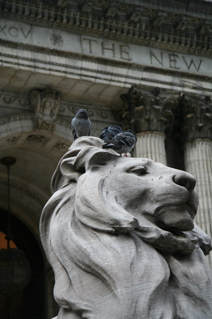 Library Lions in New York, New York