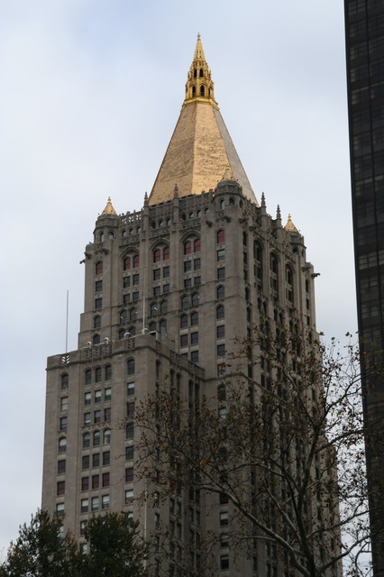 Gold Top in New York, New York