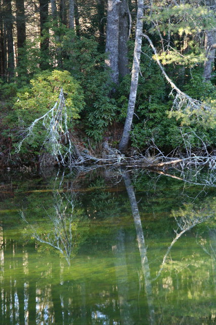 Water's Edge in Highlands, North Carolina