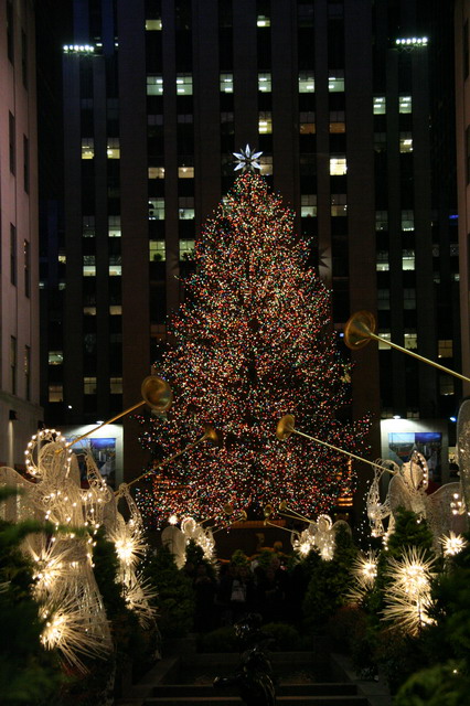 Christmas Tree in New York, New York