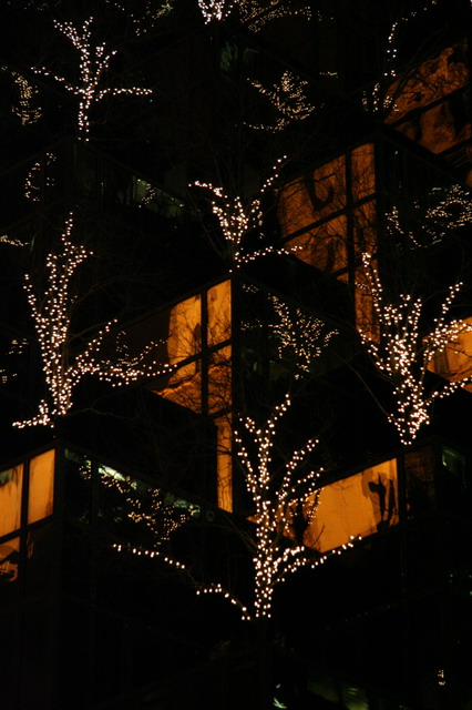 Trump Trees in New York, New York