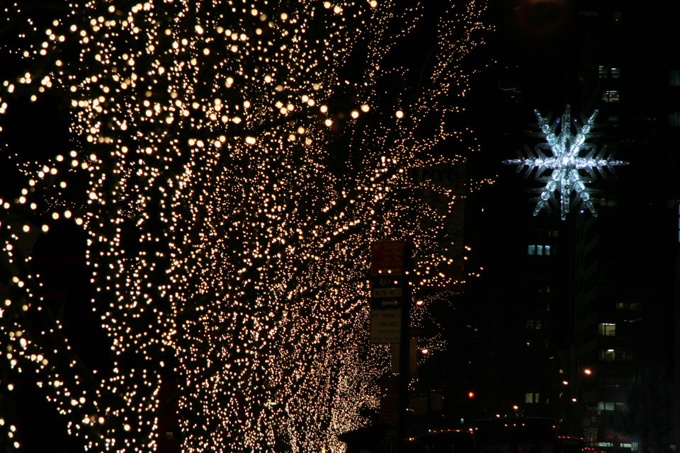 Tiffany Star in New York, New York